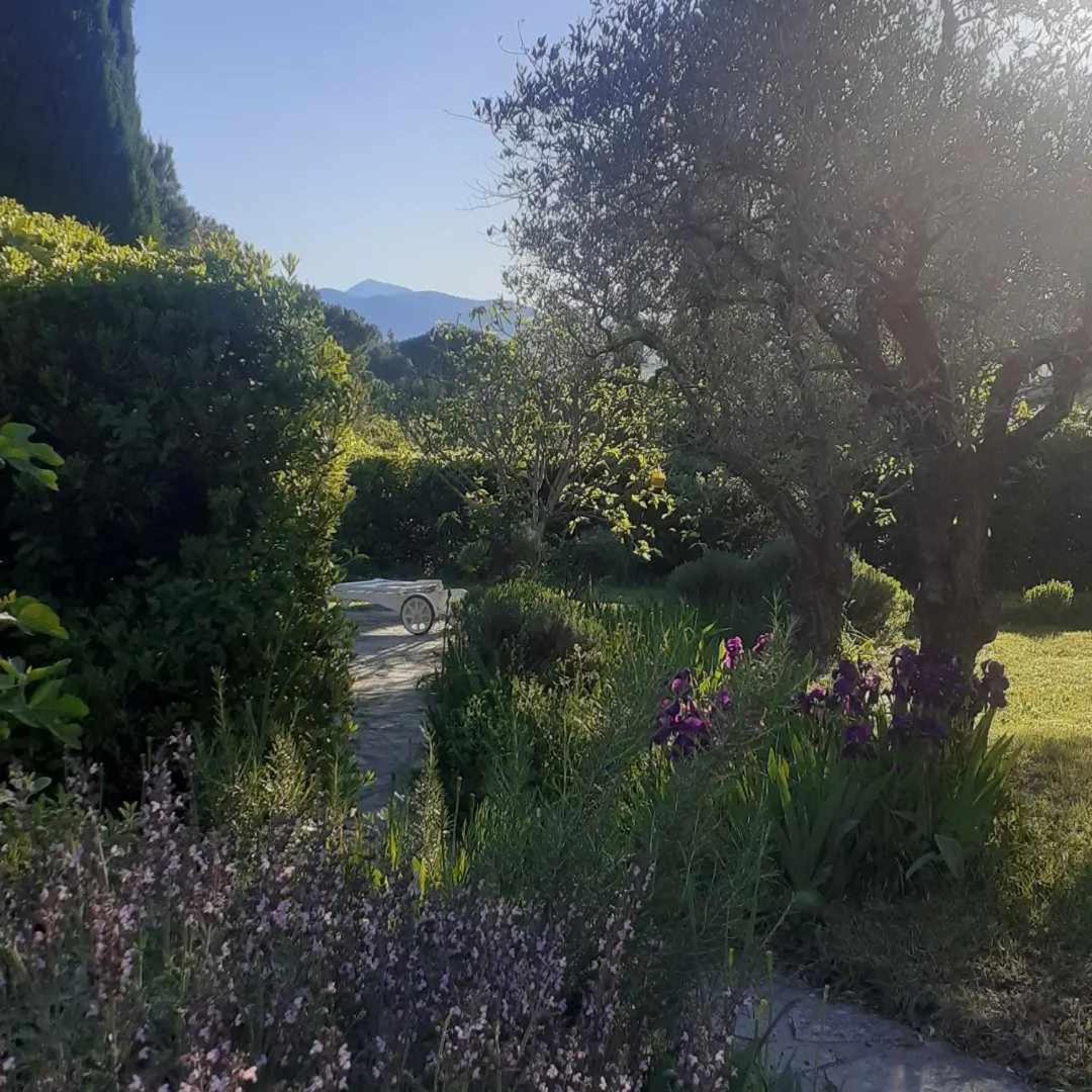 Les Verveines De Vaison Kültér fotó
